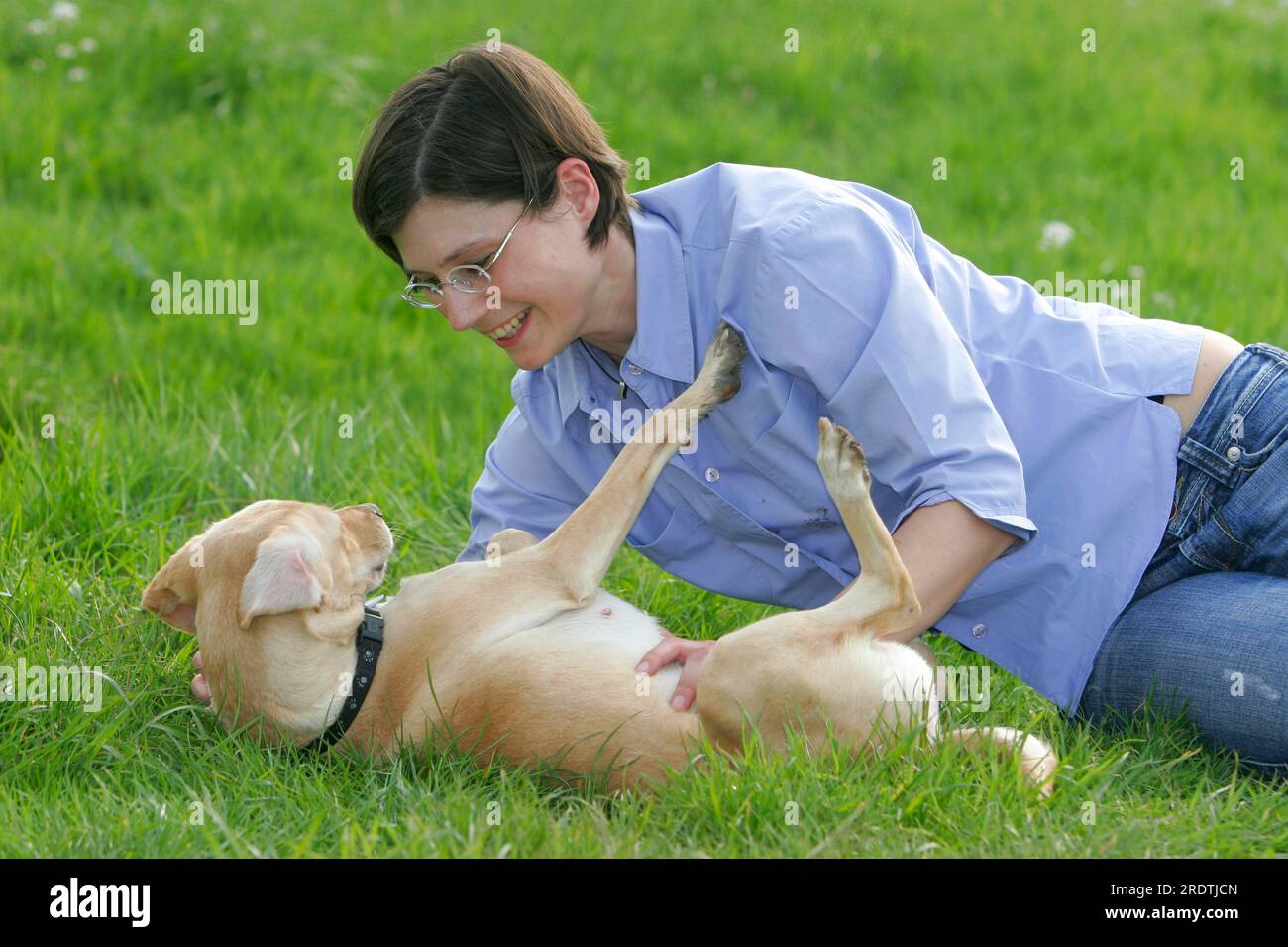 Woman with mixed breed dog Stock Photo