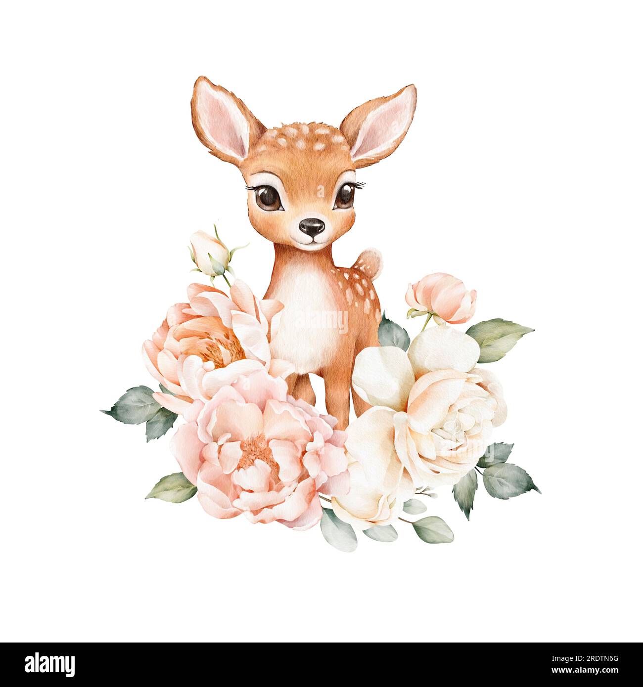 Watercolor composition with cute deer, delicate flowers and green leaves. Illustrations for invitations, postcards, anniversary, birthday, greetings, Stock Photo