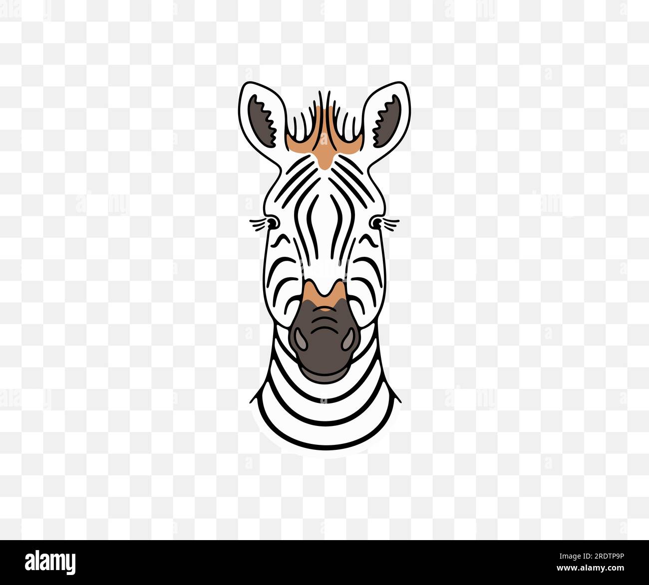 Zebra head, animals and african savannah, colored graphic design
