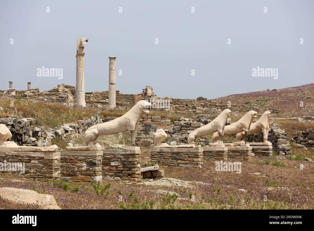 Lion statues from the Terrace of the Lions on the Cyclades island of ...