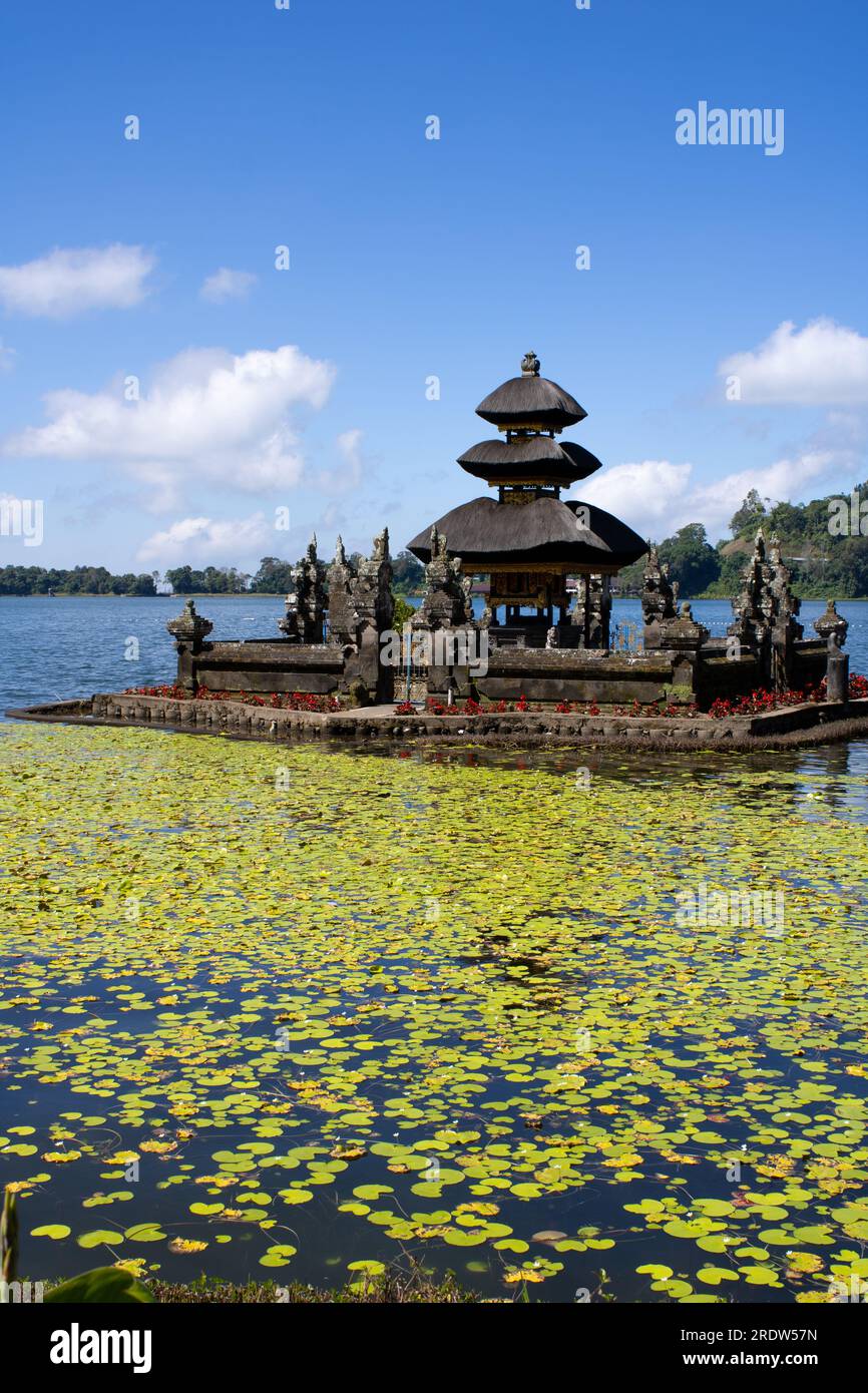A part of floating temple surrounded by Lotus leaves built on Lake Bratan in Bali, Indonesia historically known for its Pagoda style thatched roofs. Stock Photo