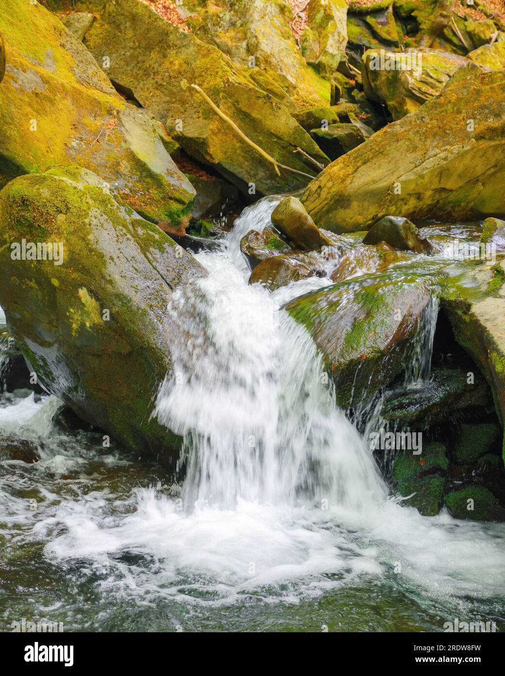 cascade on the forest creek. water flow among the rocks and boulders Stock Photo