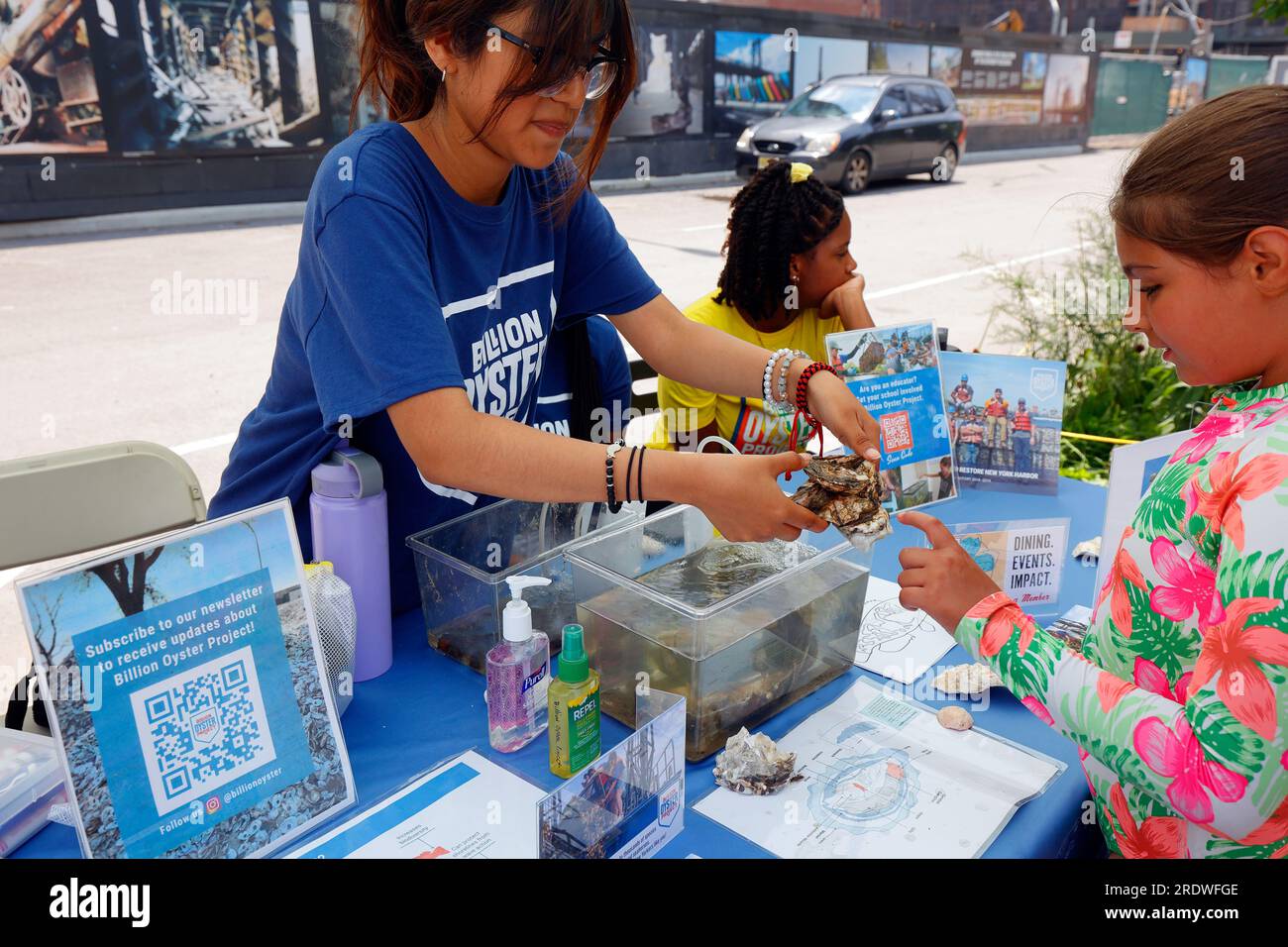 A young girl touches an oyster at a Billion Oyster Project public outreach table during City of Water Day, New York City, July 15, 2023. Stock Photo