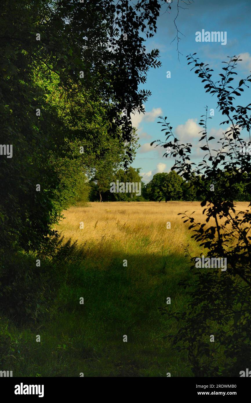 Country landscape with cloudy sky Stock Photo - Alamy