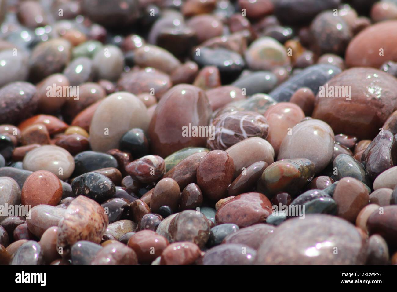 Stony beach Stock Photo