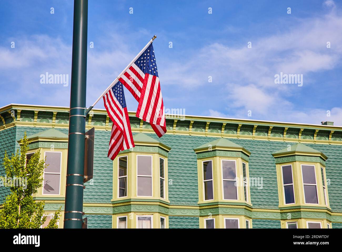 Two American flags on pole with blue sky and a green tree in front of