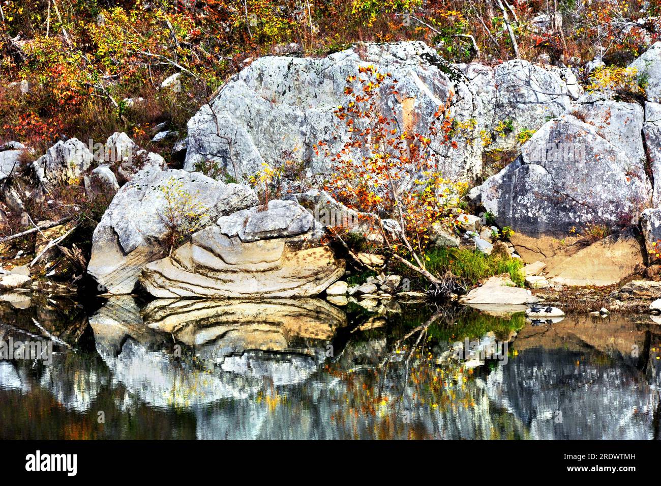 Buffalo River reflects large layered rocks on shoreline.  Fall foliage surrounds landscape in Northern Arkansas. Stock Photo