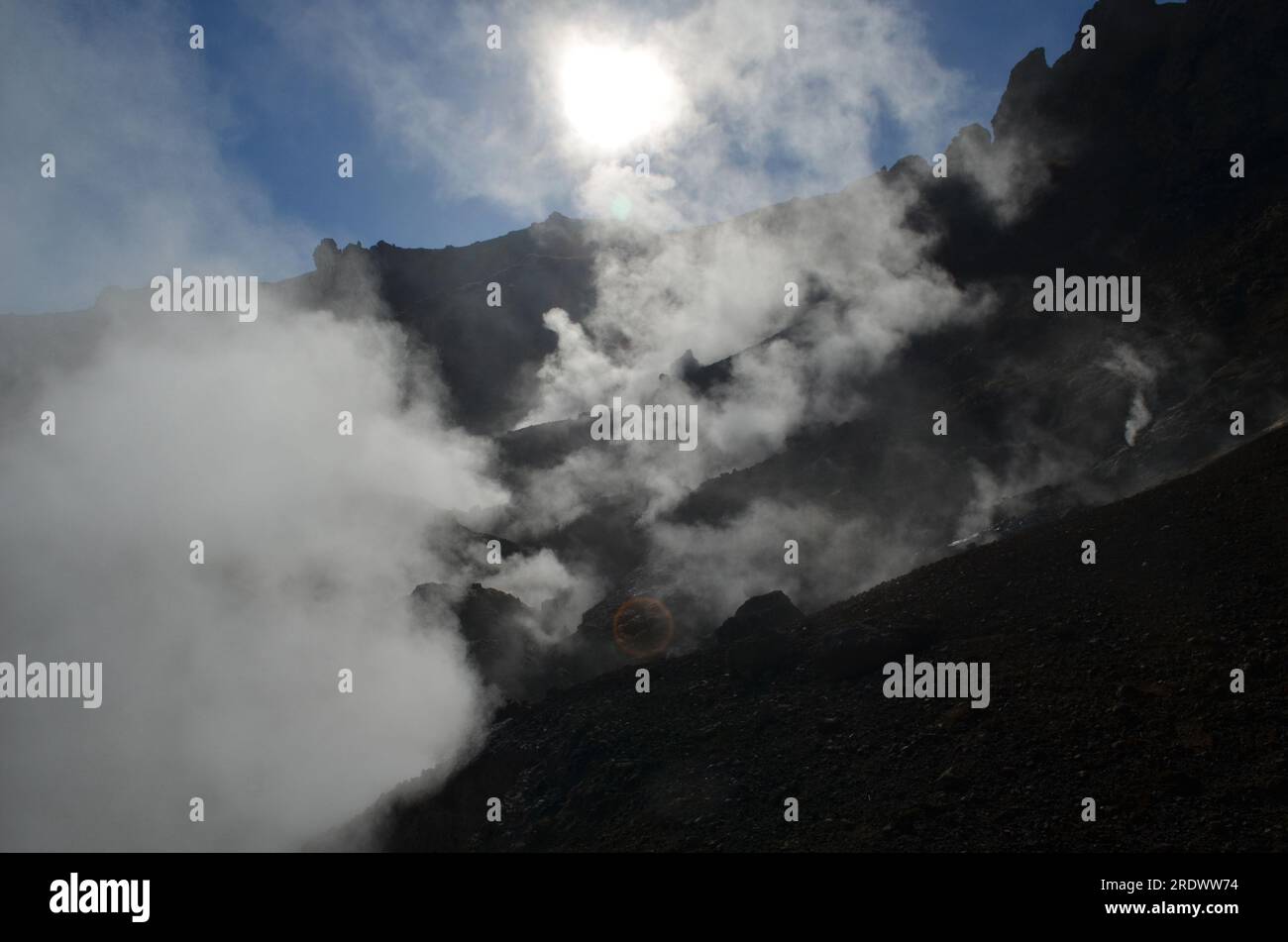 Hot geothermal steam rising from the earths crust in Iceland Stock ...