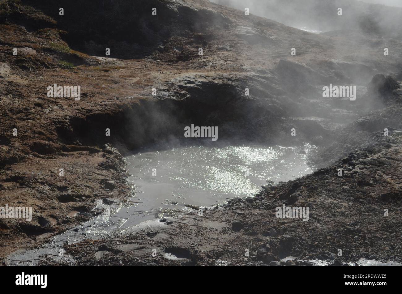 Scenic bubbling and boiling mud in a volcanic landscape in Iceland ...