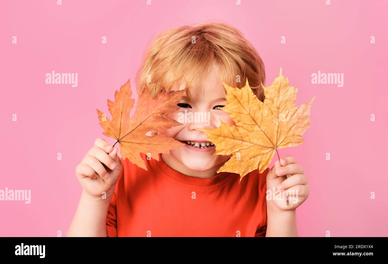 Autumn time. Happy child boy covers eyes with yellow maple leaves. Fall foliage. Happy childhood. Little kid playing with autumn fall maple leaves Stock Photo
