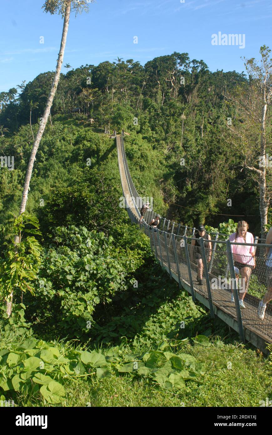 Tourists on the Vanuatu Sky Bridge, Devil's Point Rd, Port Vila ...