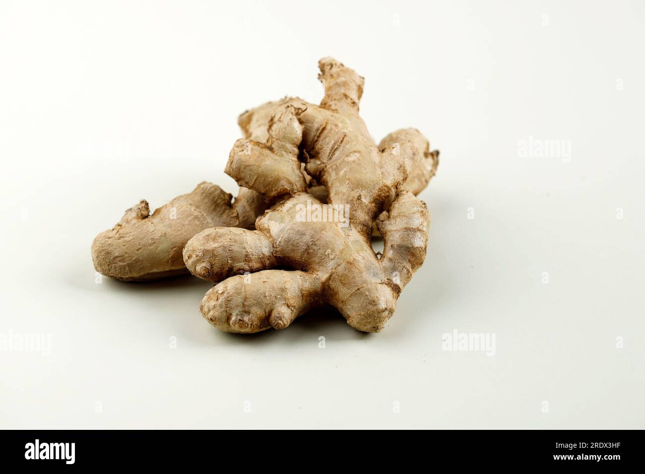 Jahe Ginger Root Isolated on Cream Background, Copy Space for Text Stock Photo