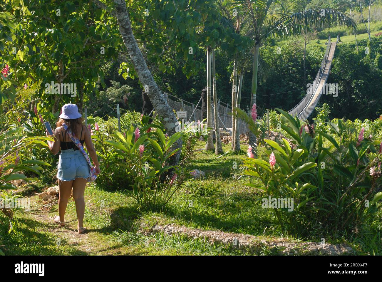 Vanuatu Sky Bridge, Devil's Point Rd, Port Vila, Vanuatu Stock Photo ...