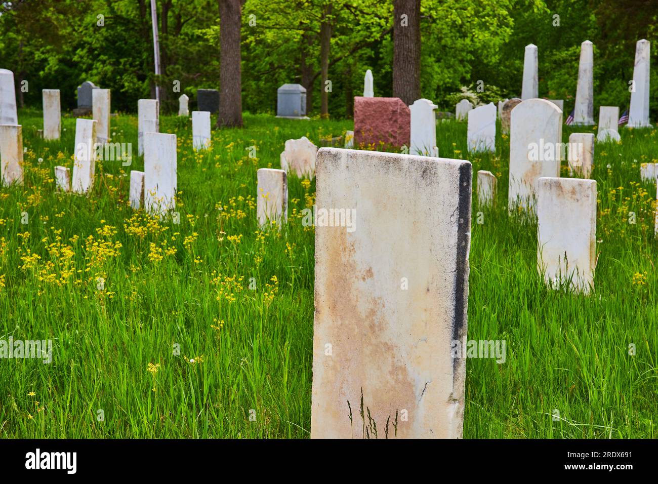 Unmarked graves, gravestones, headstones, tall green grass, graveyard, background asset Stock
