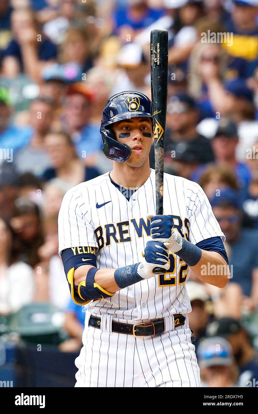 Christian Yelich - Milwaukee Brewers Left Fielder