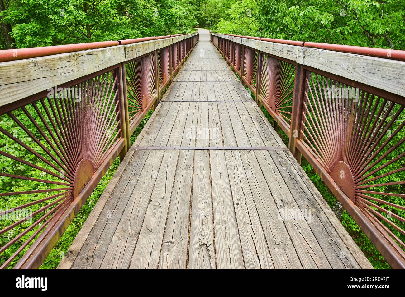 Horizontal of boardwalk bridge leading into lush green forest with ...
