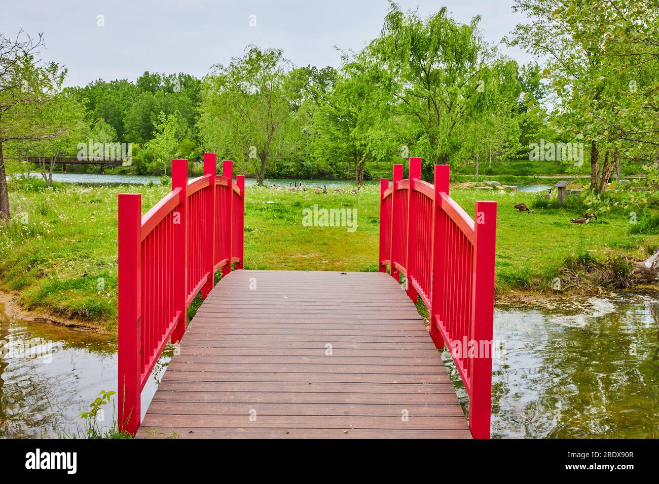 Arching red walking bridge with tiny stream and small island with