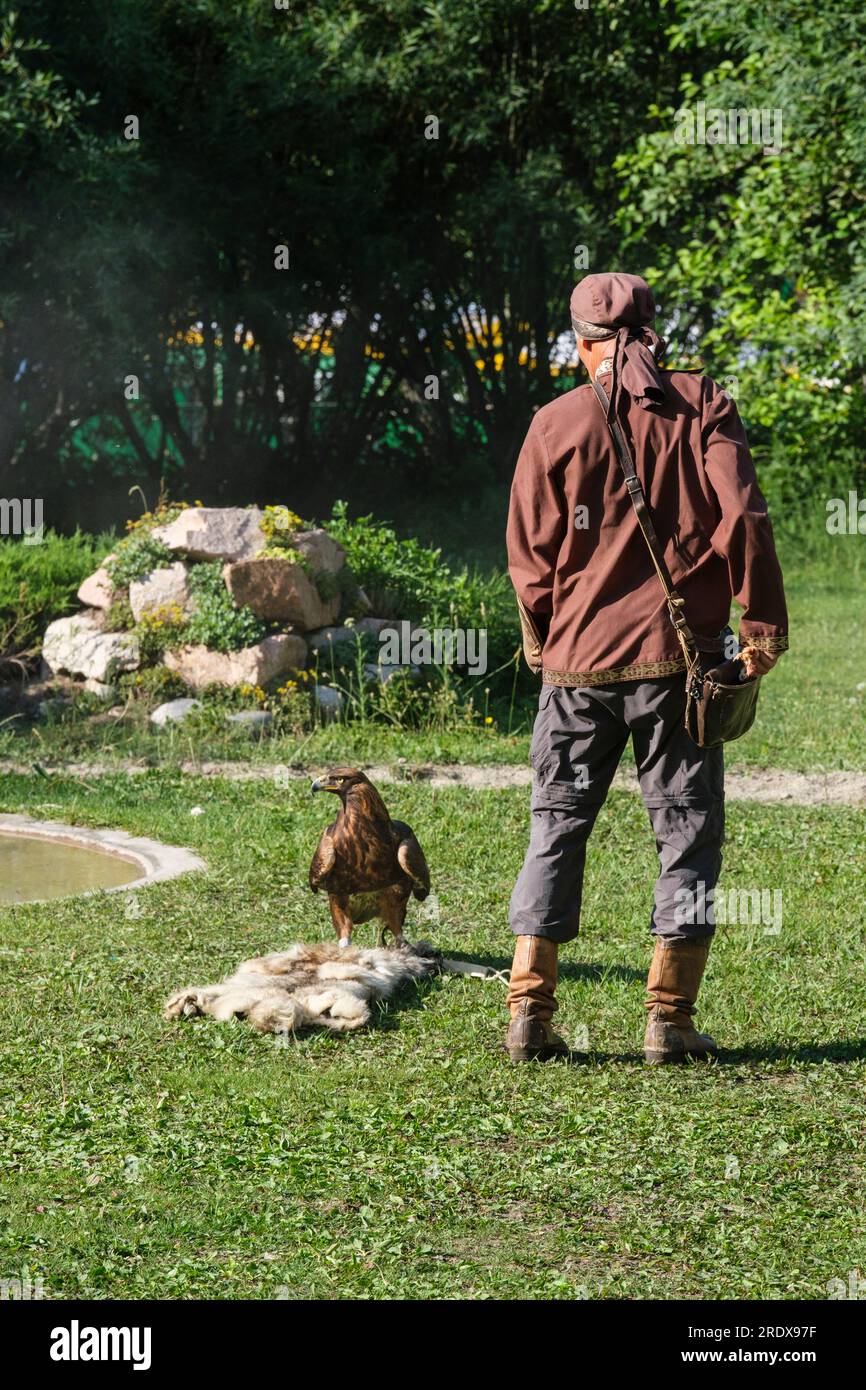 Kazakhstan, Almaty. Sunkar Falcon Center Show Demonstrating Eagle Behavior. Stock Photo