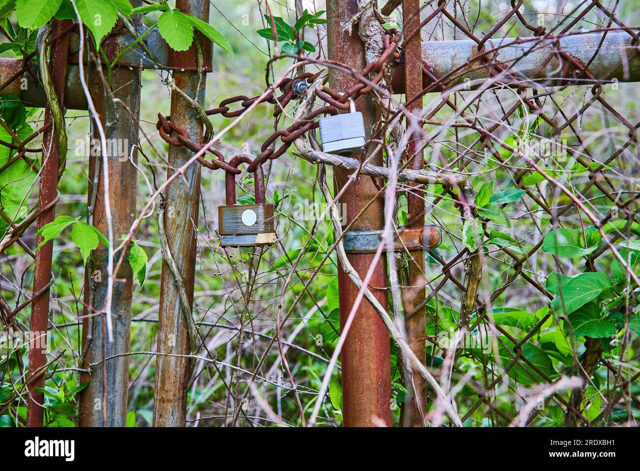 Pad locks on gate hi-res stock photography and images - Alamy