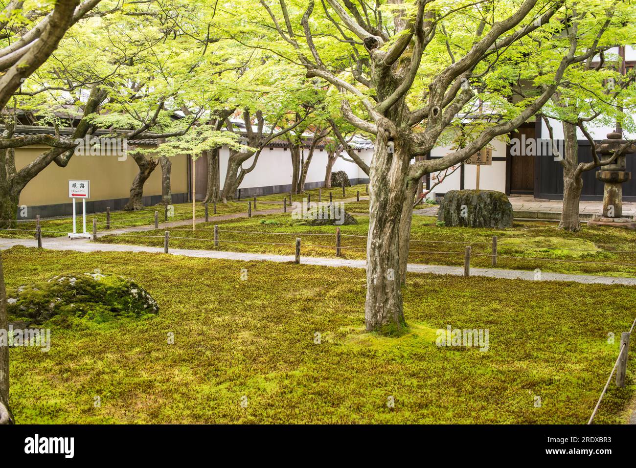 Japanese garden, Kyoto Stock Photo