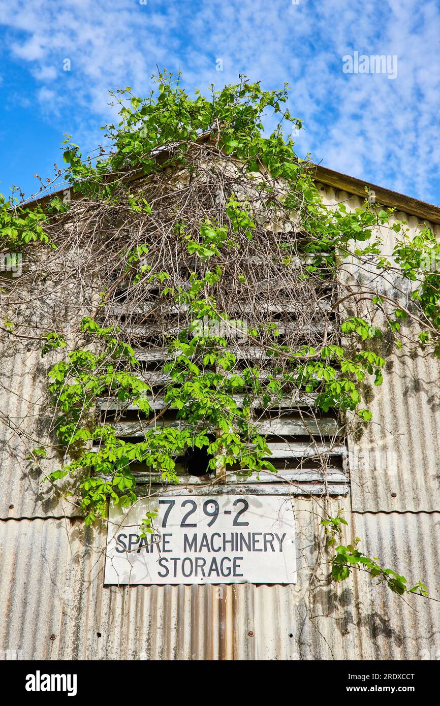 Spare machinery storage, unit, overgrown, plant life clinging to side