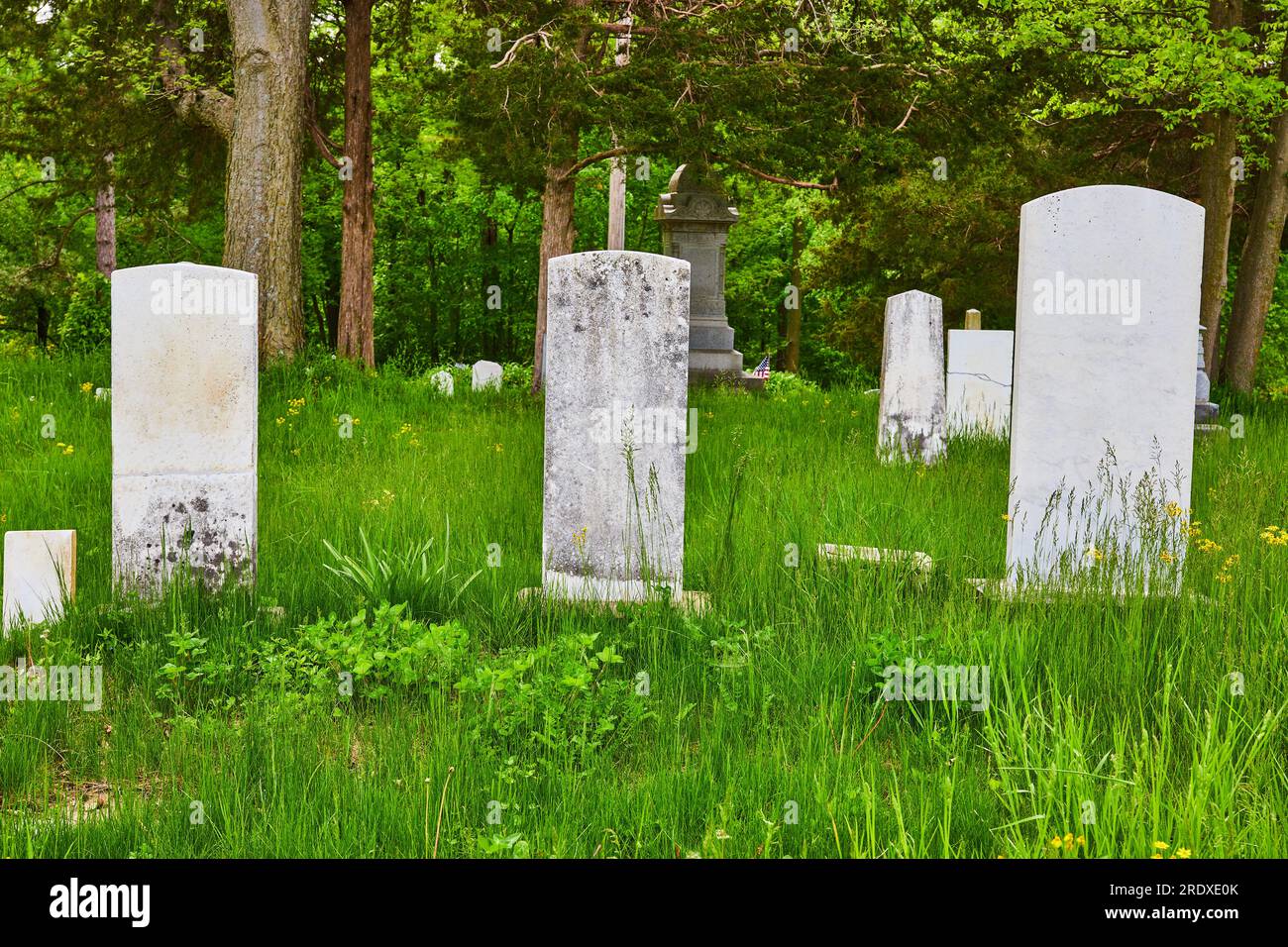 Three unmarked graves, gravestones, headstones, tall green grass, graveyard, background asset