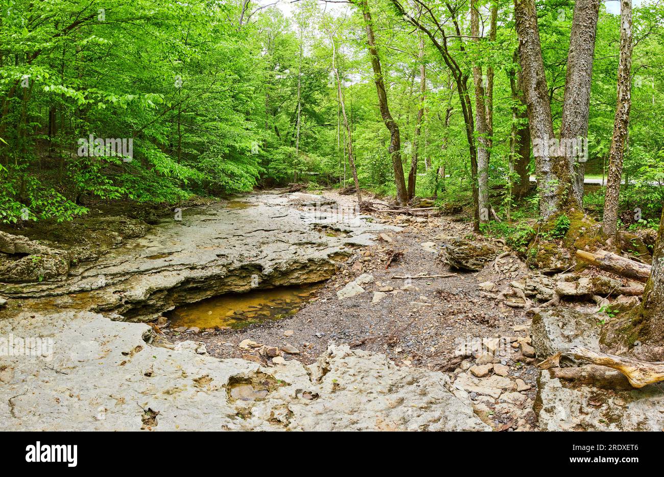 Limestone riverbed in summer drought with tiny pool of water under
