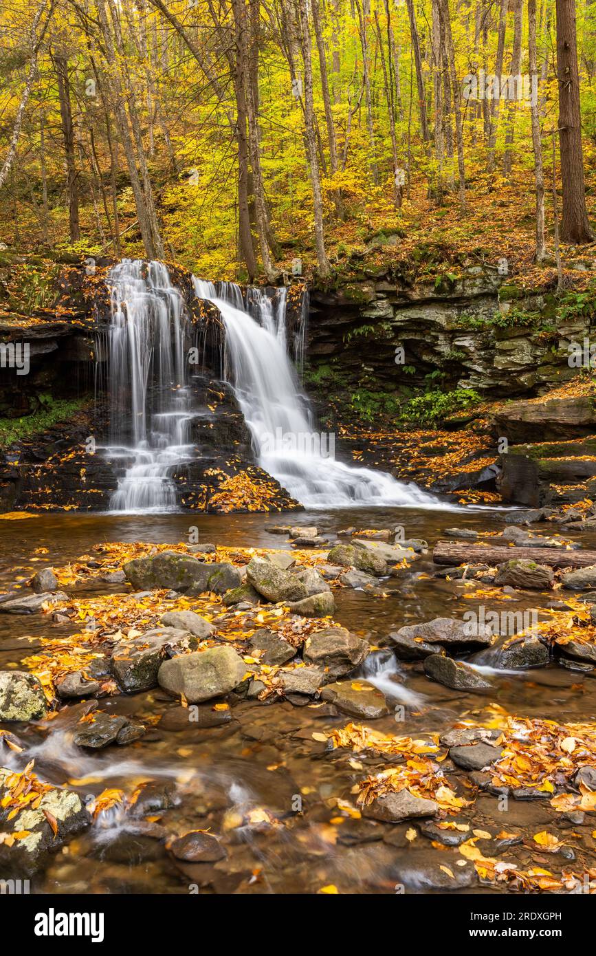 Pennsylvania forest road hires stock photography and images Alamy