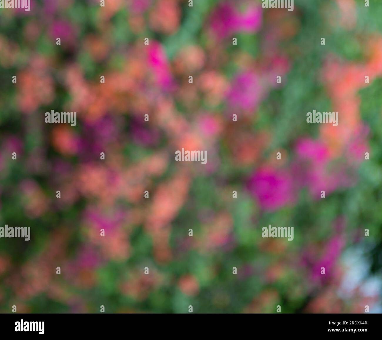 Multicolored, blurry, soft, blurry, abstract texture. Stock Photo