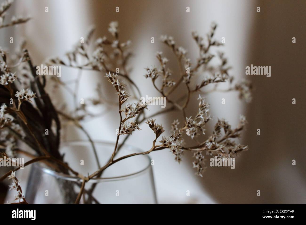 Withered bouquet with small white dry flowers and branches in glass ...
