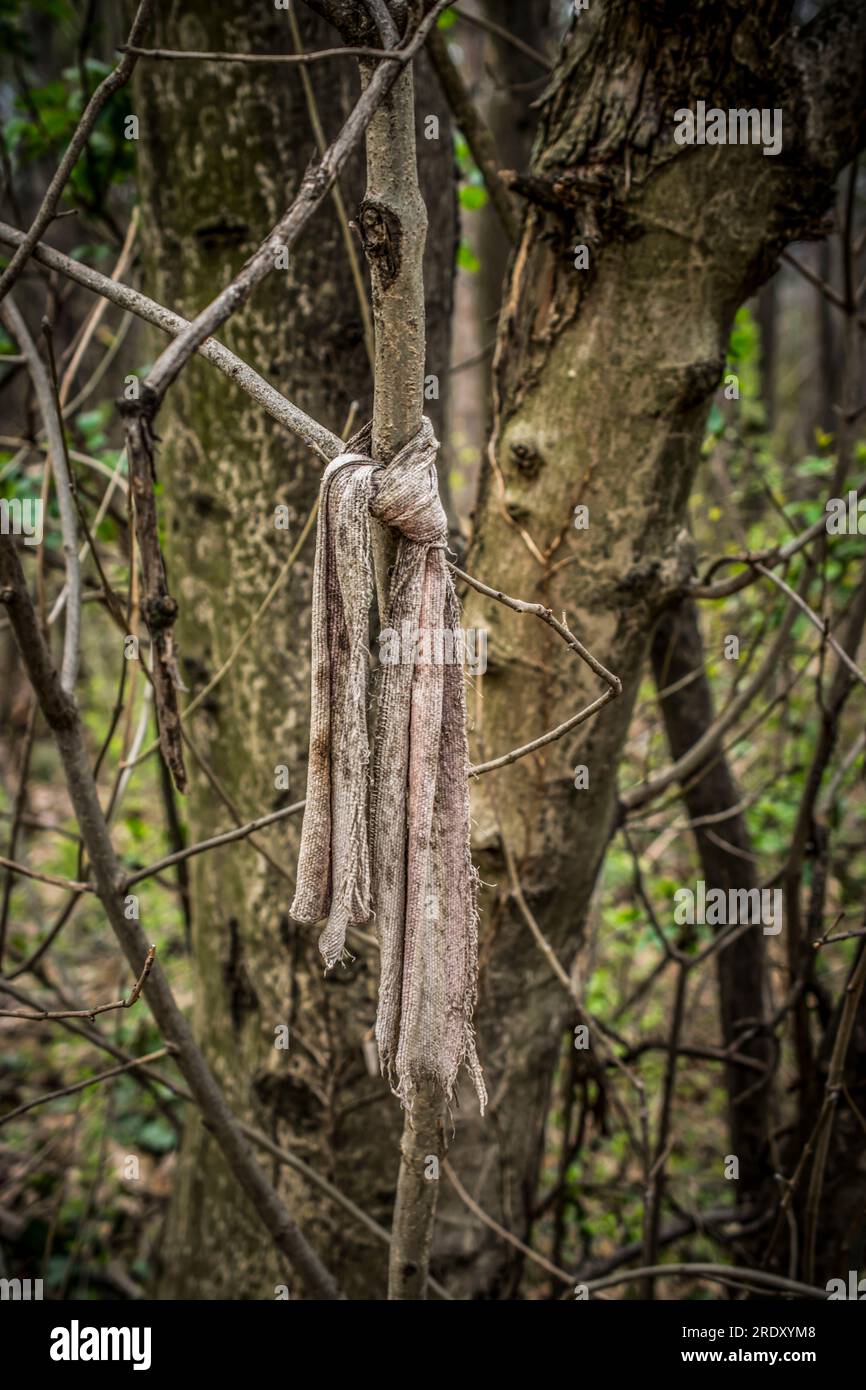 Polluted tree hi-res stock photography and images - Alamy