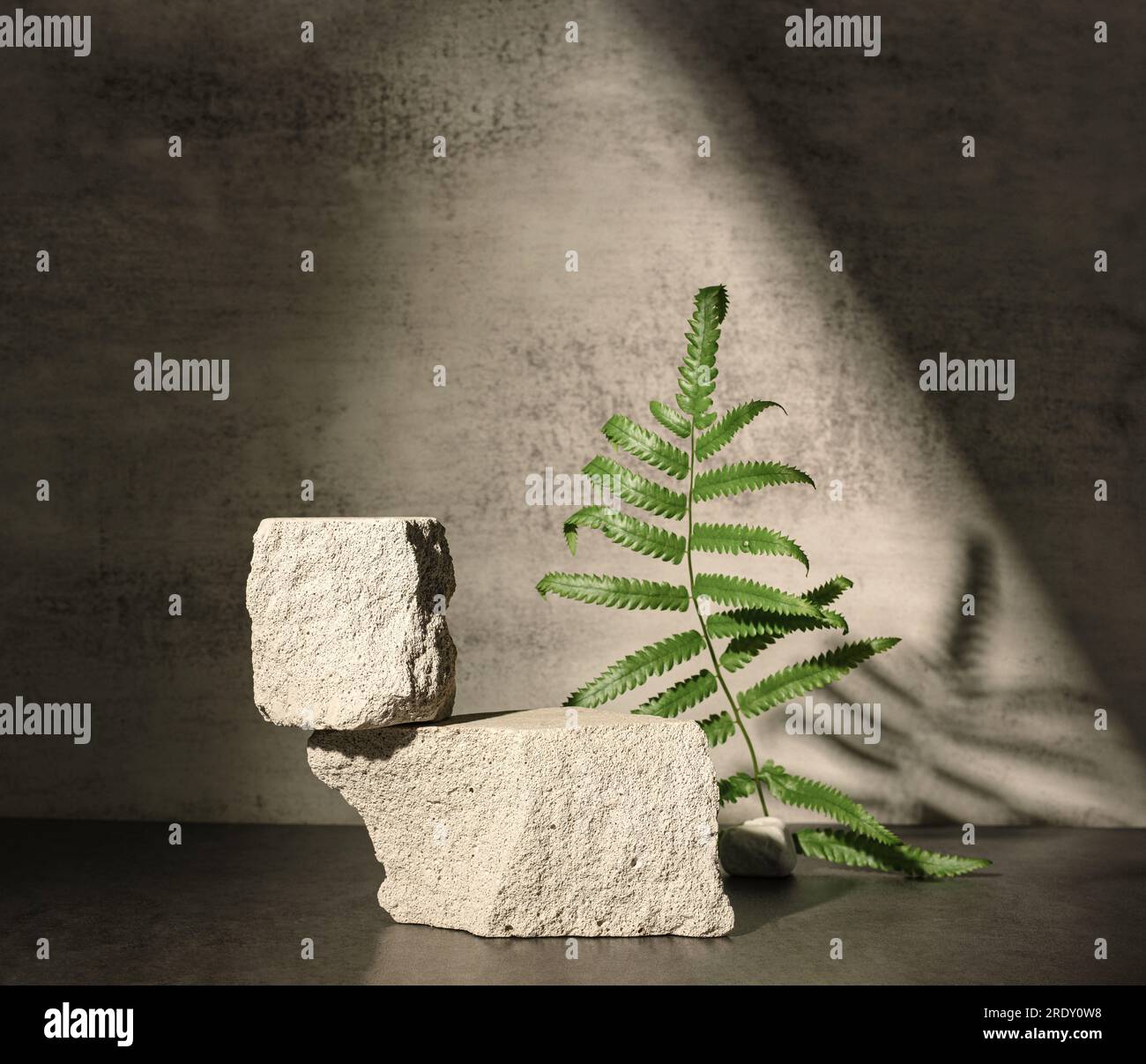 THE CONCRETE KINGDOM FERN CREEK visual data 4