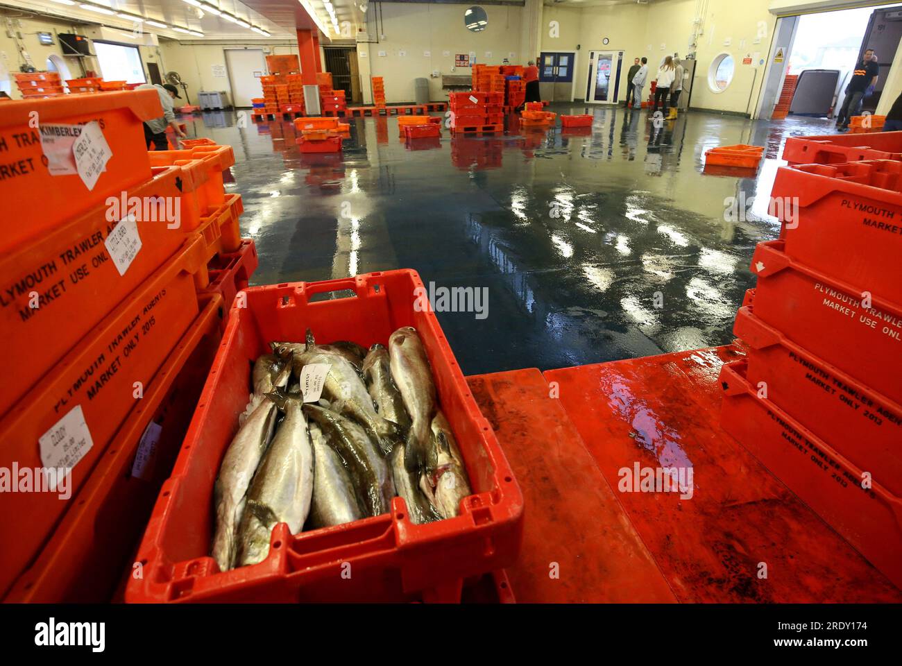 File photo dated 32/5/2107 of fish at the Plymouth Fisheries. This year's North Atlantic heatwave may be catastrophic for fish stocks people rely on for food and livelihoods, scientists and the Marine Conservation Society (MCS) have warned. Issue date: Monday July 24, 2023. Stock Photo