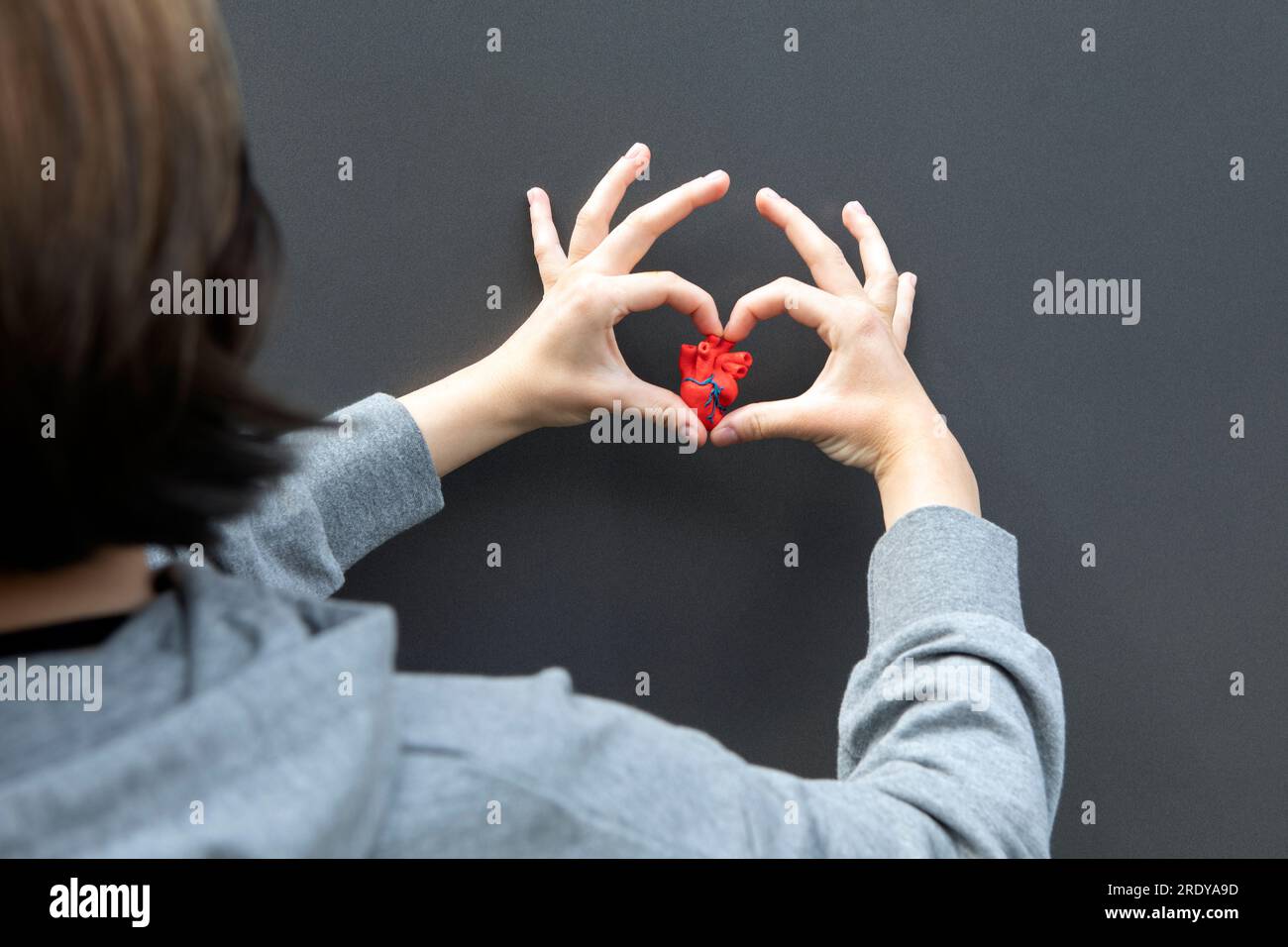 Human heart rear view hi-res stock photography and images - Alamy