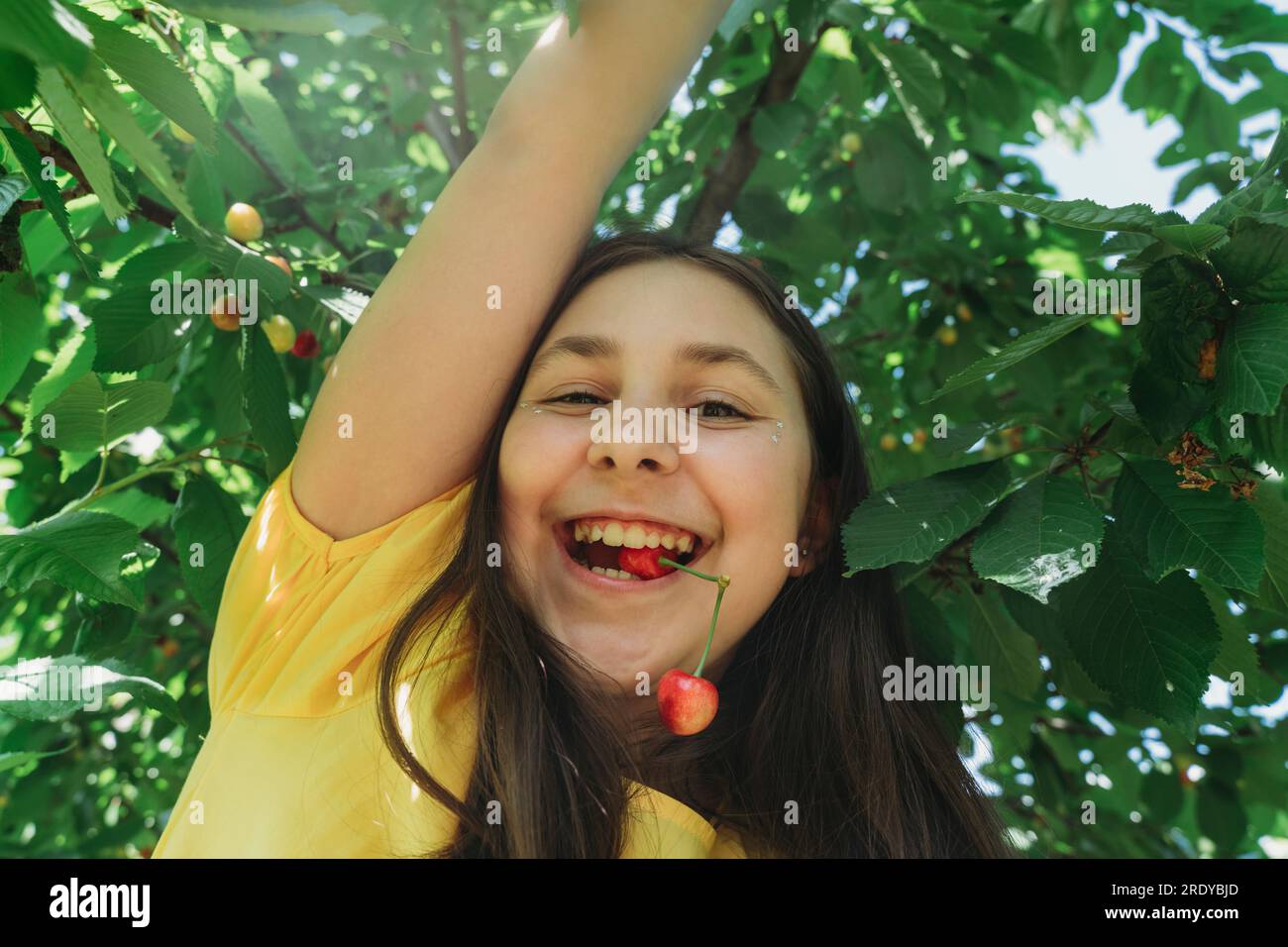 Smiling girl biting cherry in garden Stock Photo