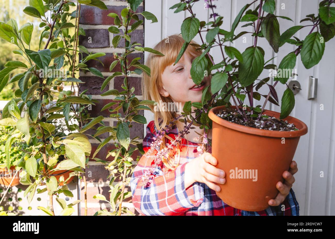Smiling girl holding potted plant in balcony Stock Photo - Alamy