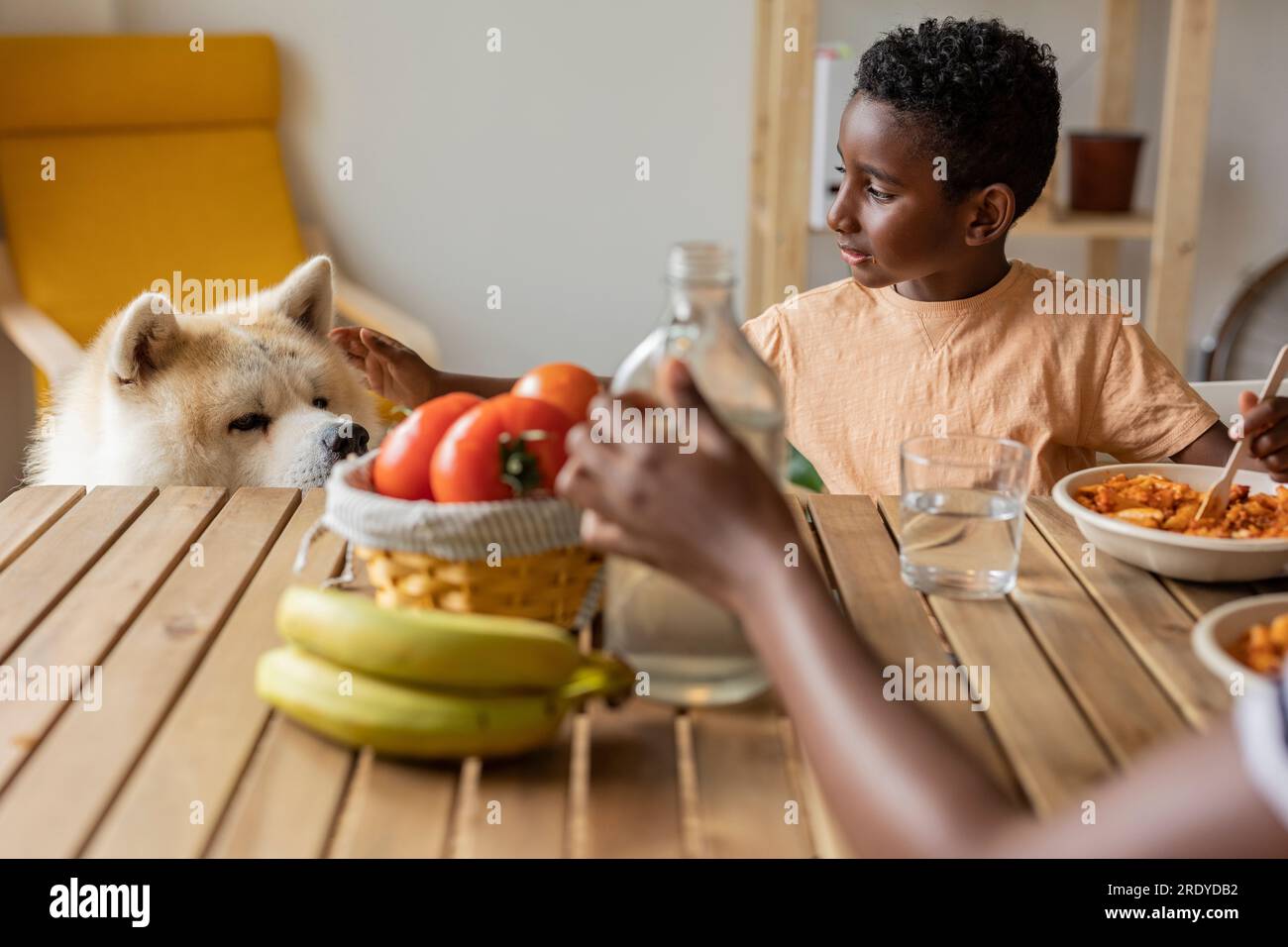 Boy having meal and stroking dog at home Stock Photo