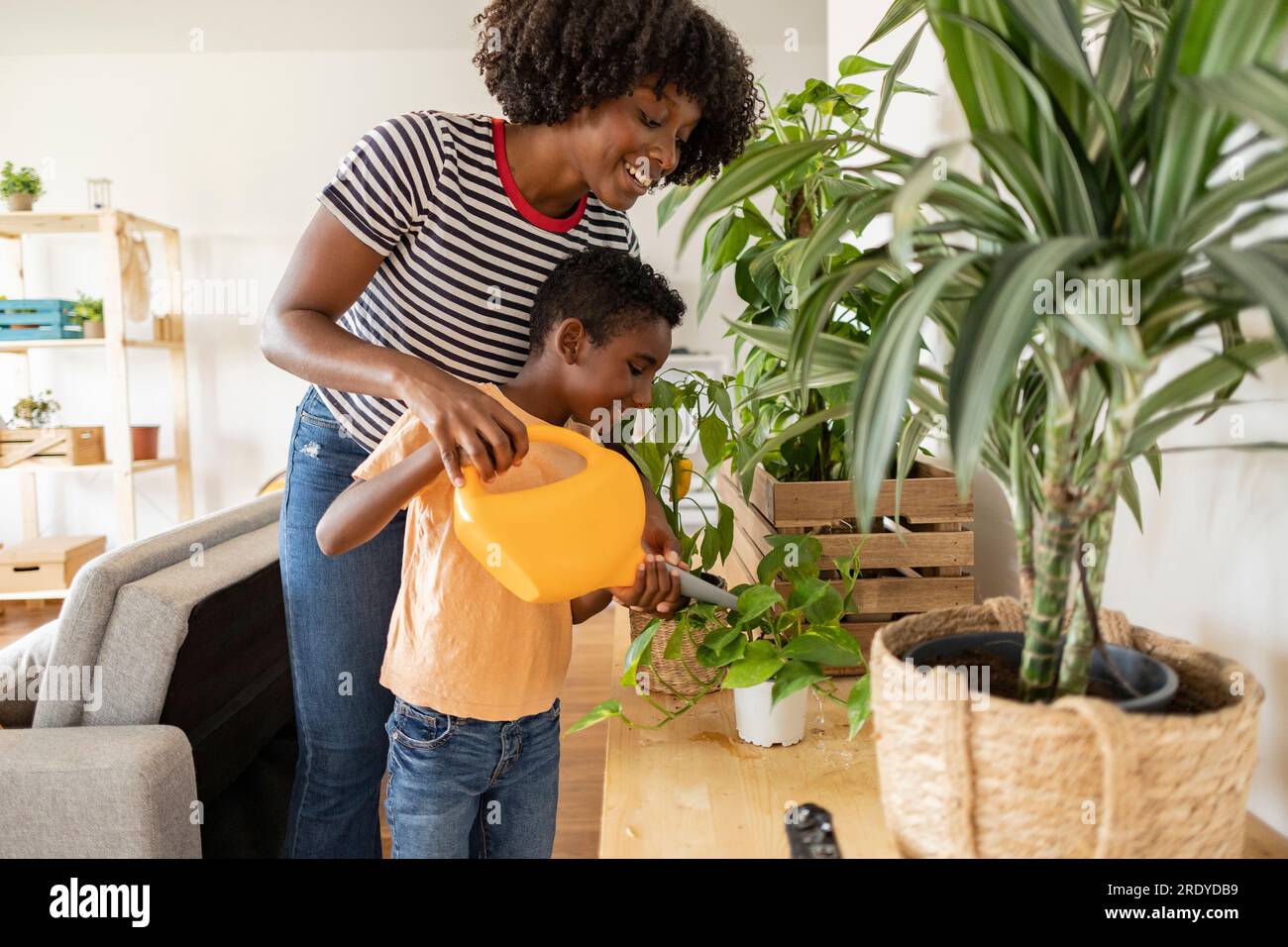 African boy watering plants hi-res stock photography and images - Alamy