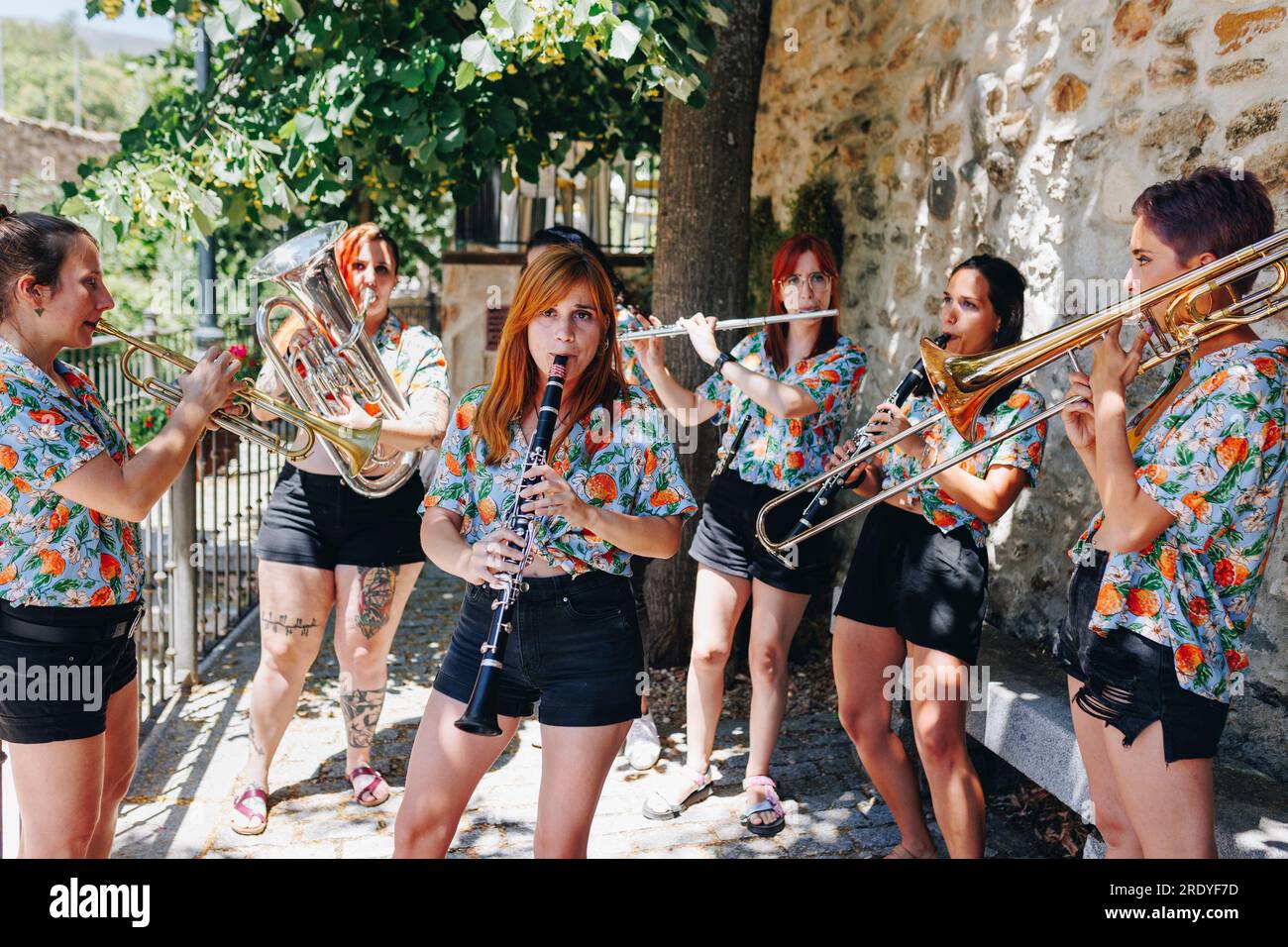 Women's folk group playing musical instruments Stock Photo Alamy