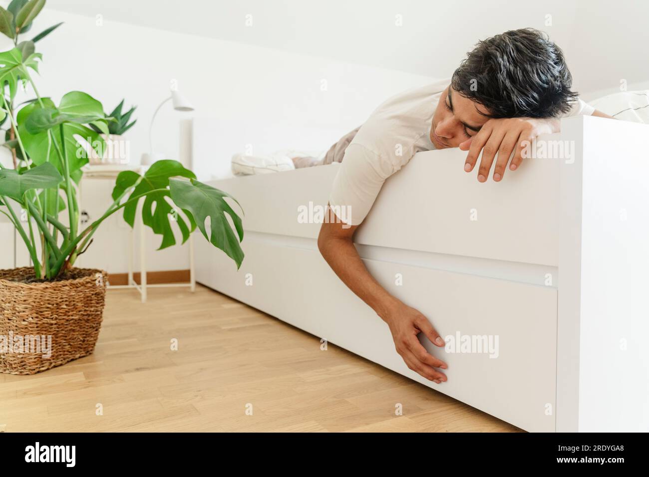 Tired man sleeping on bed next to potted plant Stock Photo Alamy