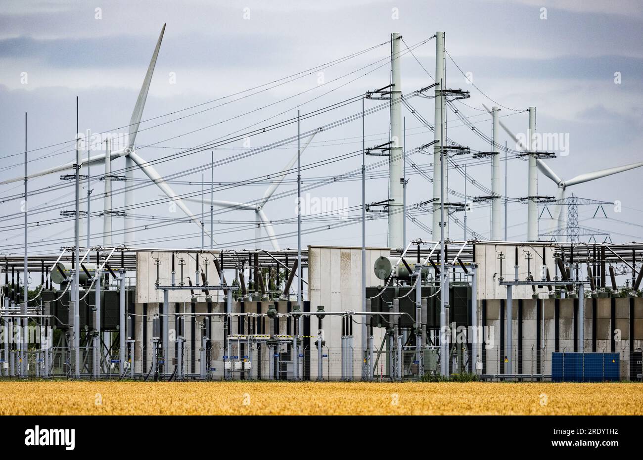 RILLAND Highvoltage pylons in the Zeeland landscape. Large companies