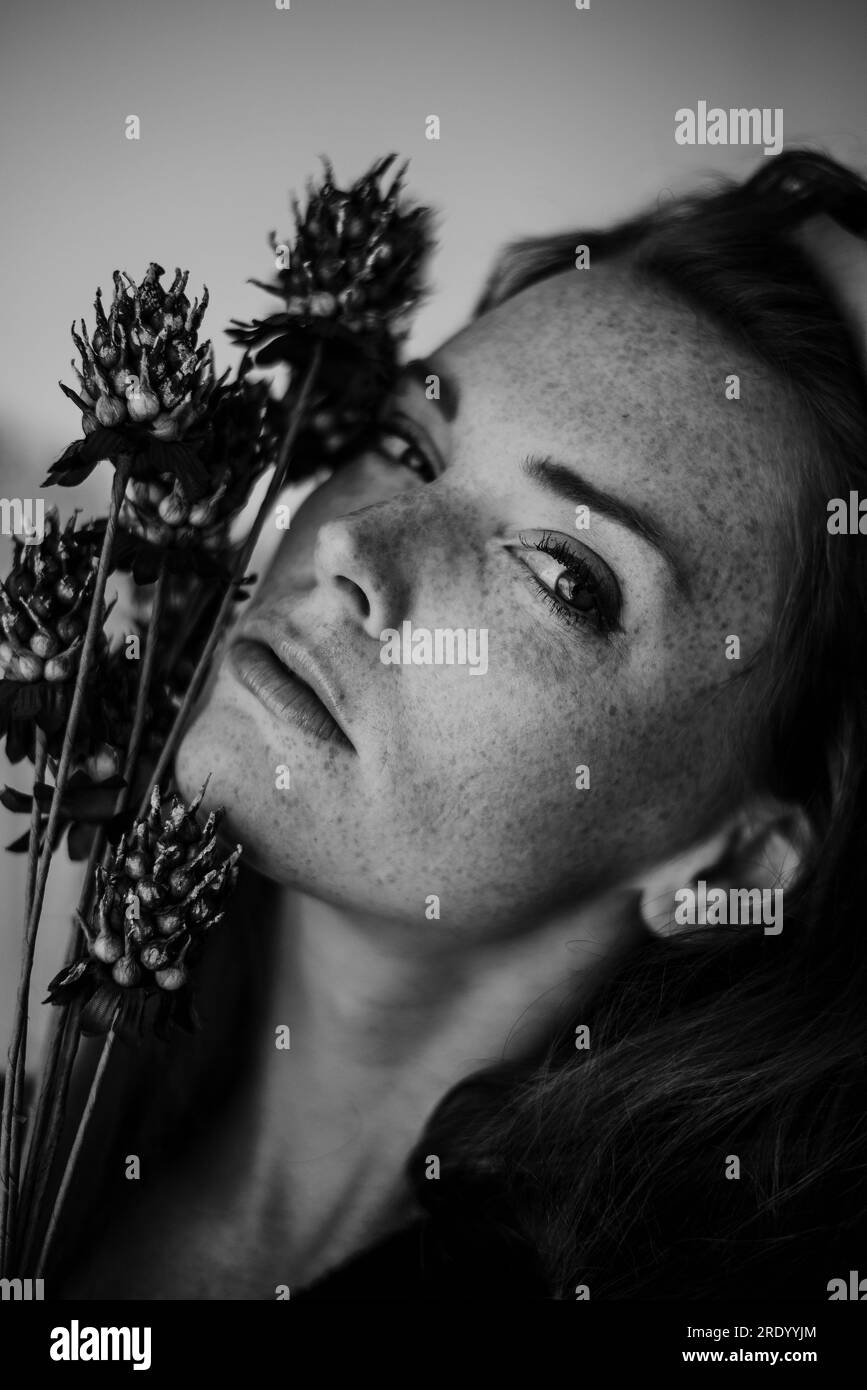 Flowers Black and White Stock Photos & Images Alamy
