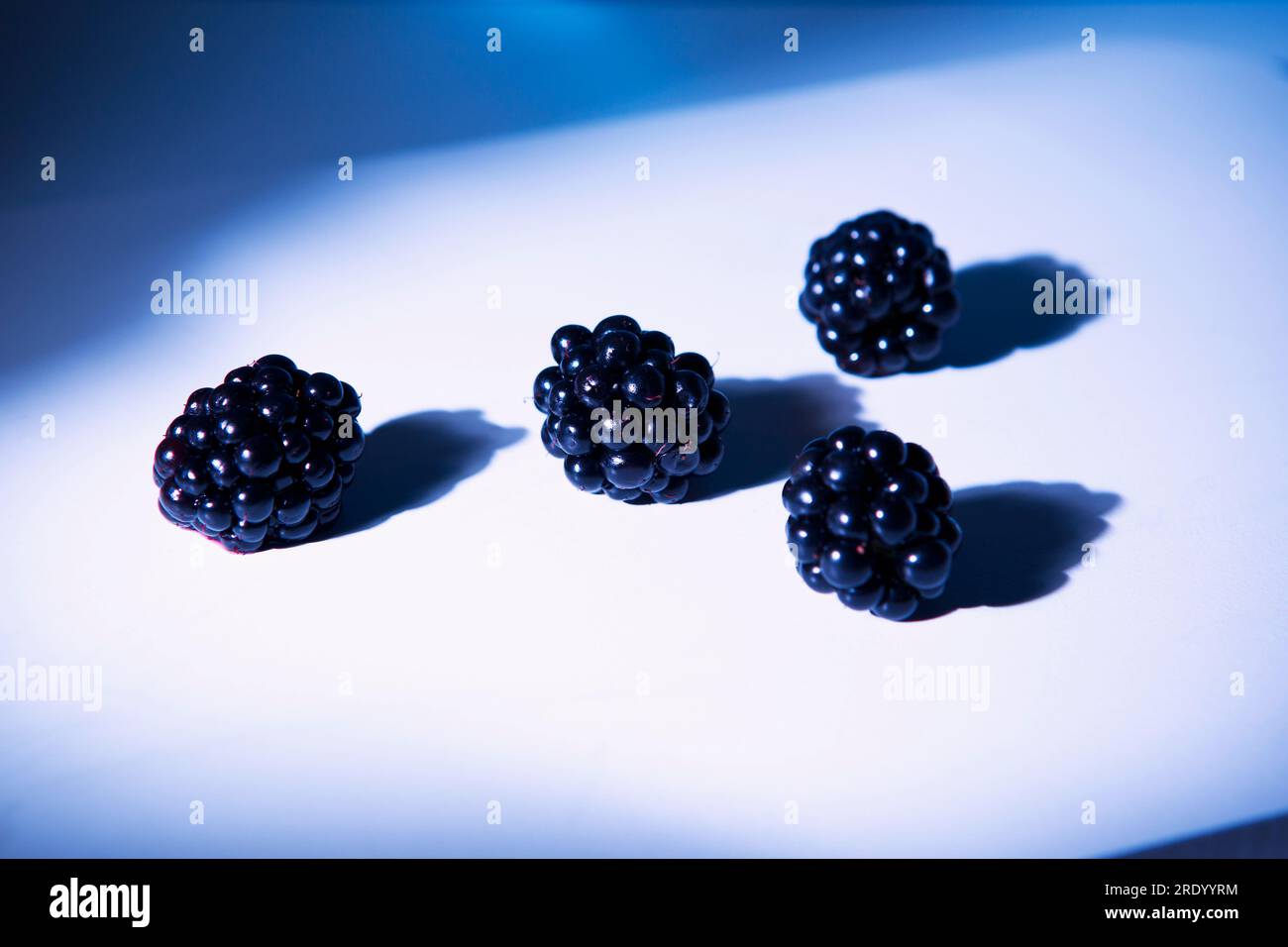 Four blackberries lying on cutting board Stock Photo
