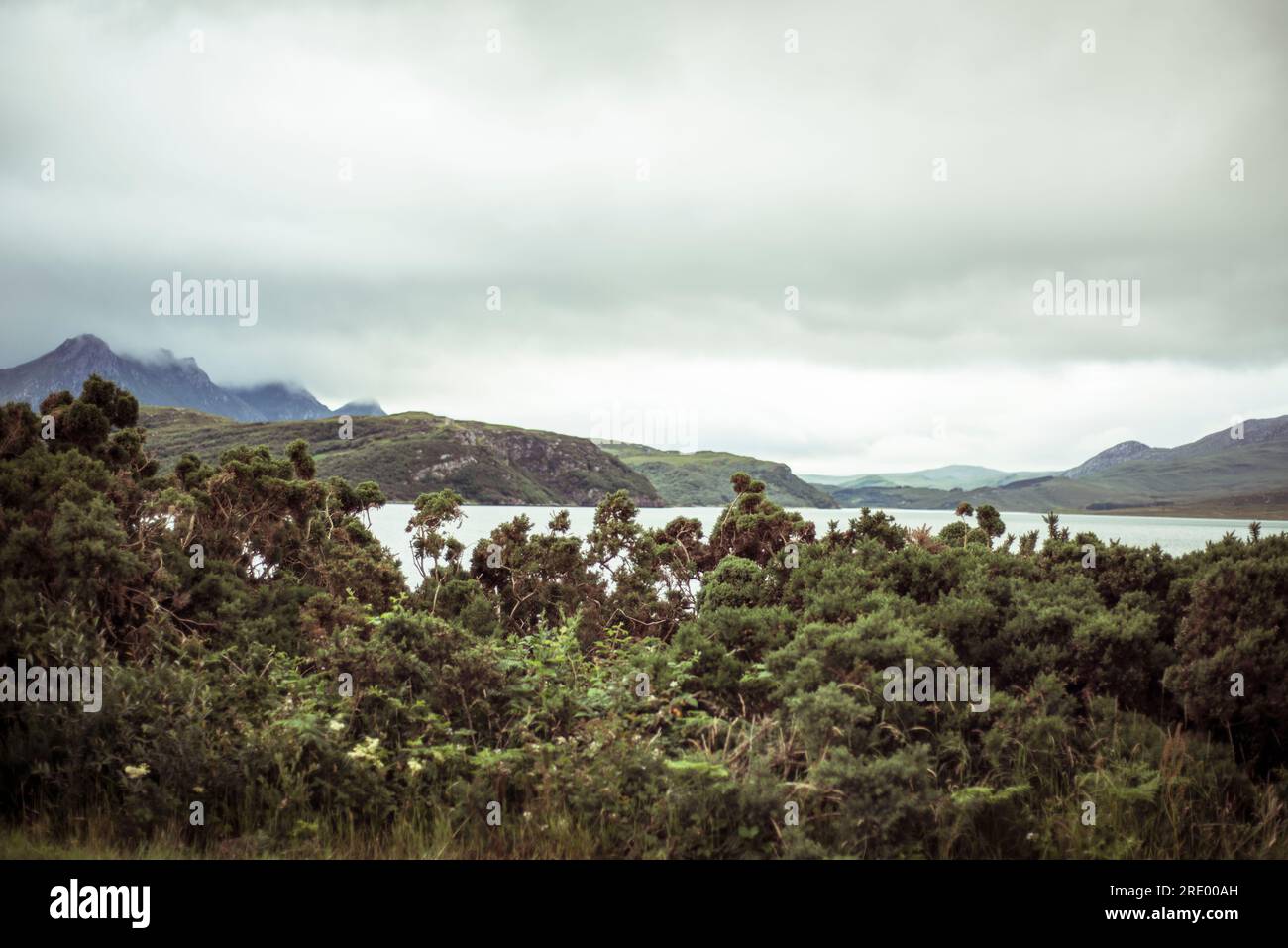 Trees mountain lake hi-res stock photography and images - Alamy