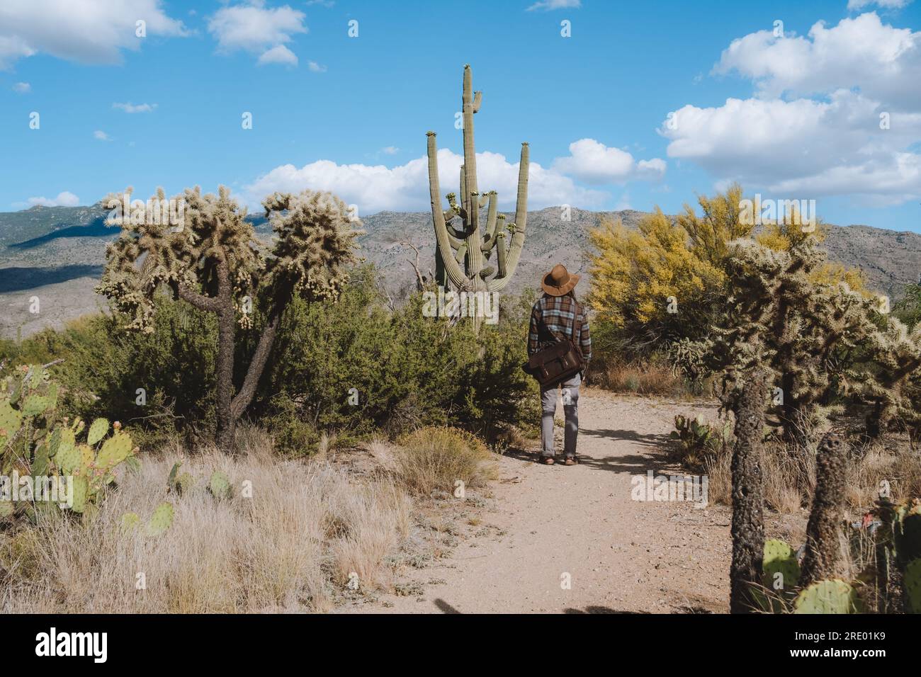 Hiking through the desert hi-res stock photography and images - Alamy