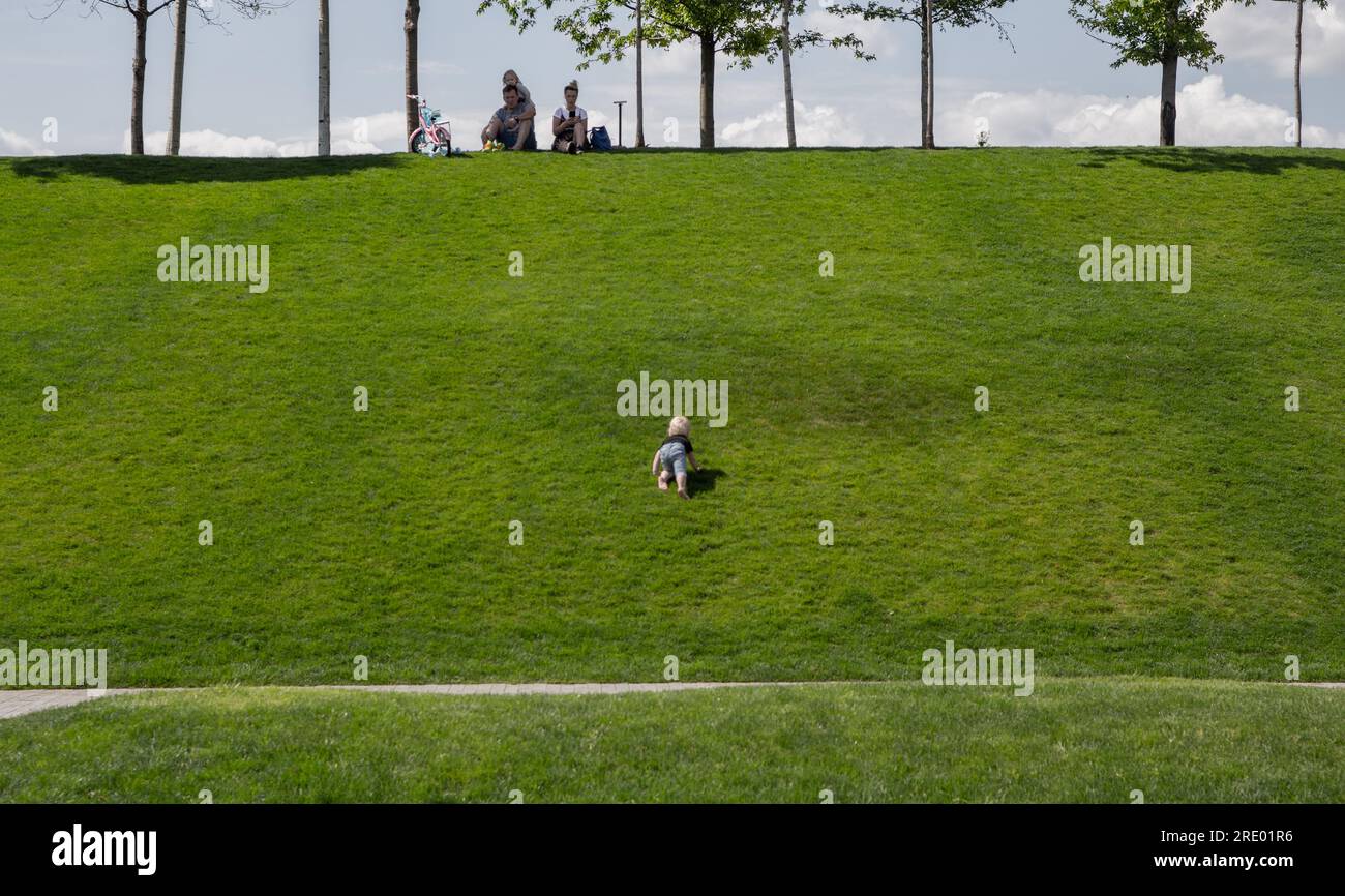 Baby crawling on the grass to their parents Stock Photo