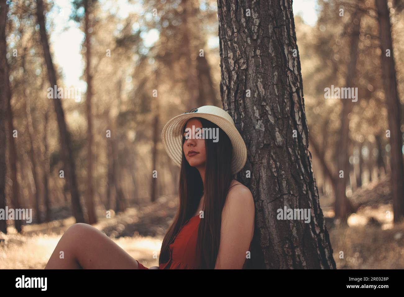 A girl in a relaxing way in a forest during a sunny spring day Stock Photo