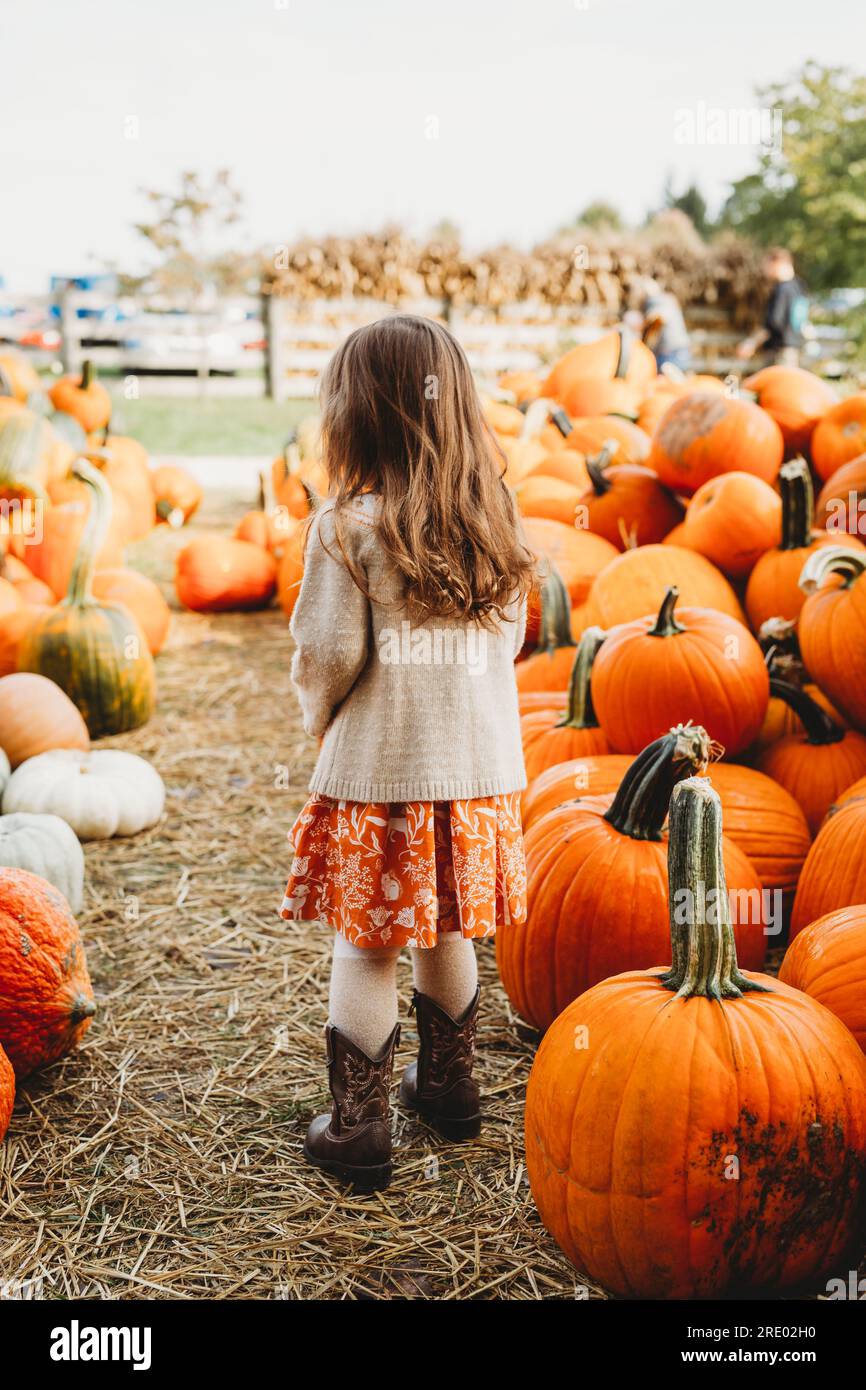 Fall Farm Pumpkin Picking Stock Photo Alamy