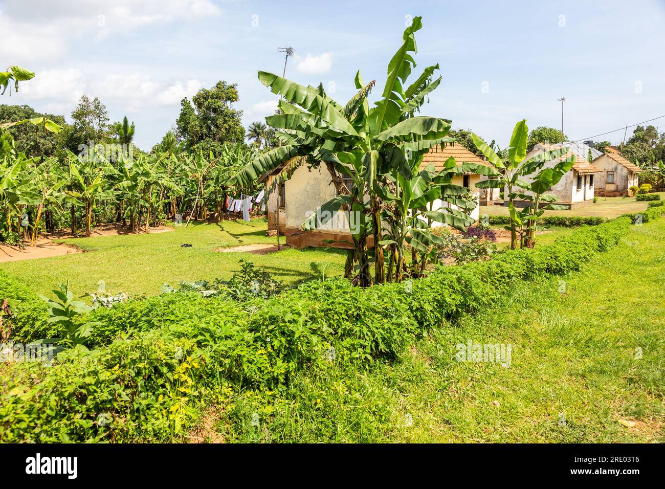 Residential area on the outskirts of Entebbe. Uganda Stock Photo Alamy