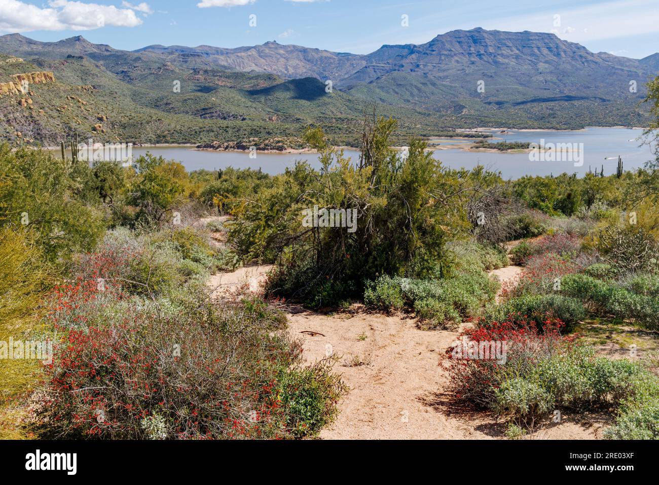 Bartlett Lake reservoir with low water level, USA, Arizona, Bartlett Reservoir, Scottsdale Stock Photo